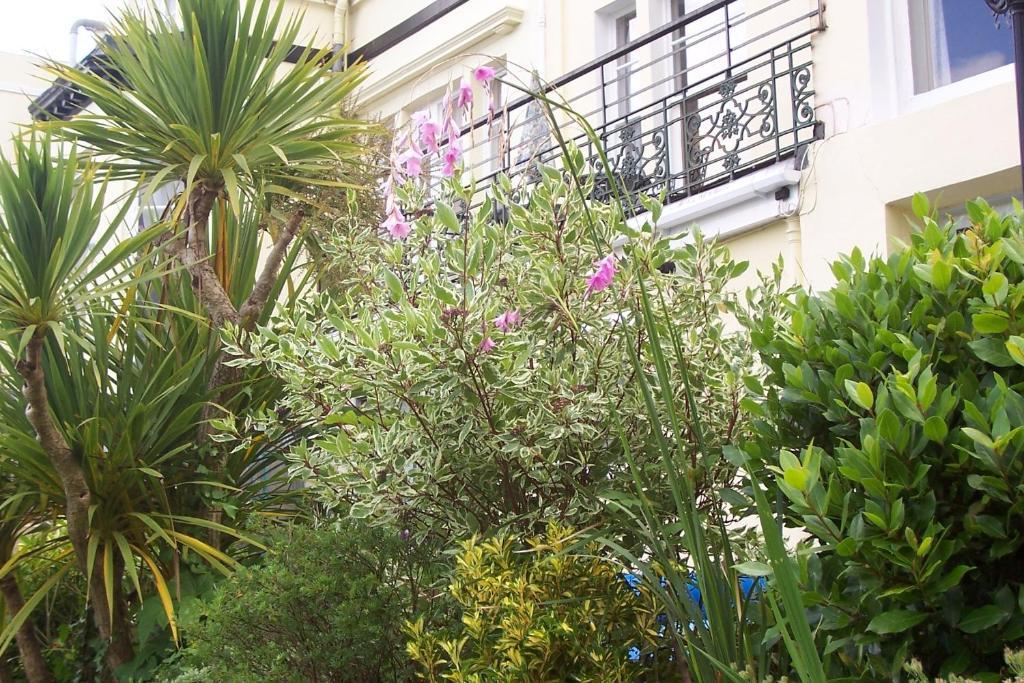 Ashwood Grange Bed & Breakfast Торки Екстериор снимка